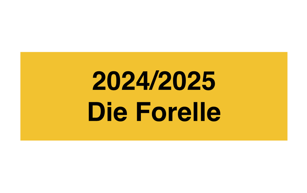 Gravurschild Gold selbstklebend - Gold / 60 x 20 mm