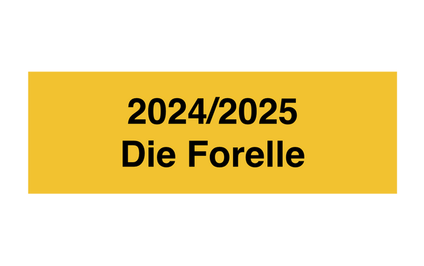 Gravurschild Gold selbstklebend - Gold / 60 x 20 mm