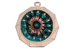 Medaille BS.ME83 Ø 70 mm - Bronze / 70 mm