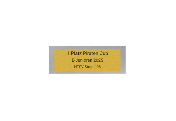 Fußball Pokal FG401 - Silber Mehrfarbig / 30 cm