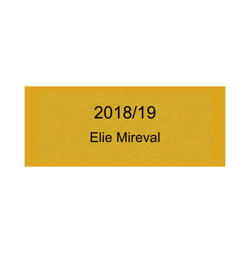 Gravurschild Gold selbstklebend - Gold / 50 x 20 mm