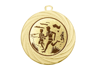 Medaille DI7001 Ø 70mm - Gold / 70 mm