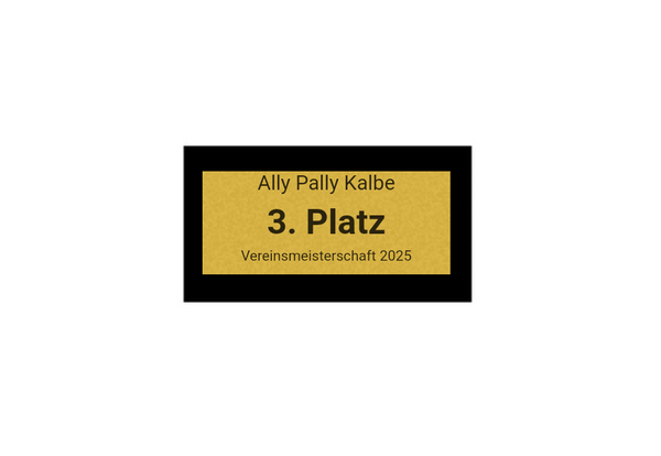 Pokalserie X161 Dart - Silber Mehrfarbig / 25 cm