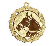 Medaille BS.ME96  Ø 70mm - Gold / 70 mm