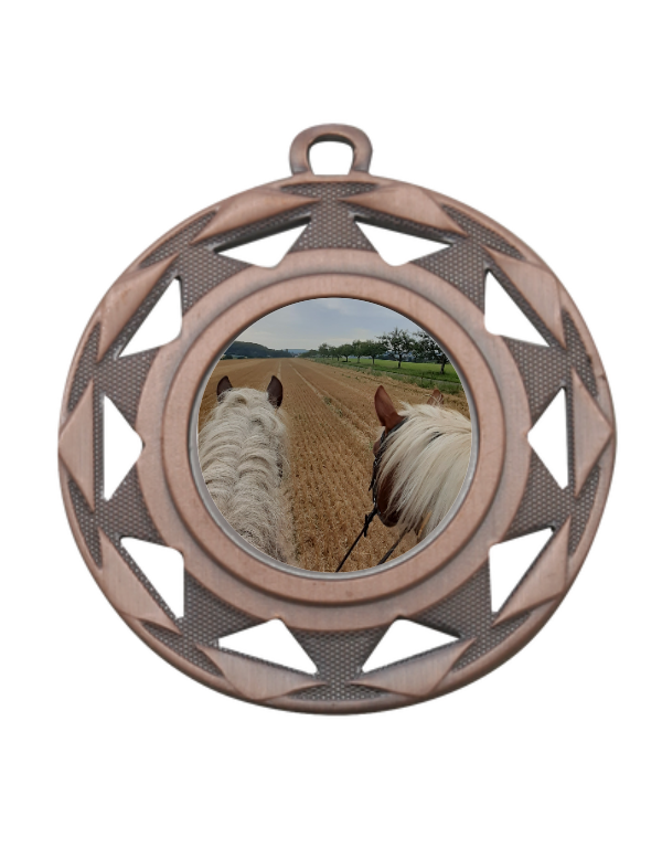 Medaille BS.ME94 Ø 50 mm - Bronze / 50 mm