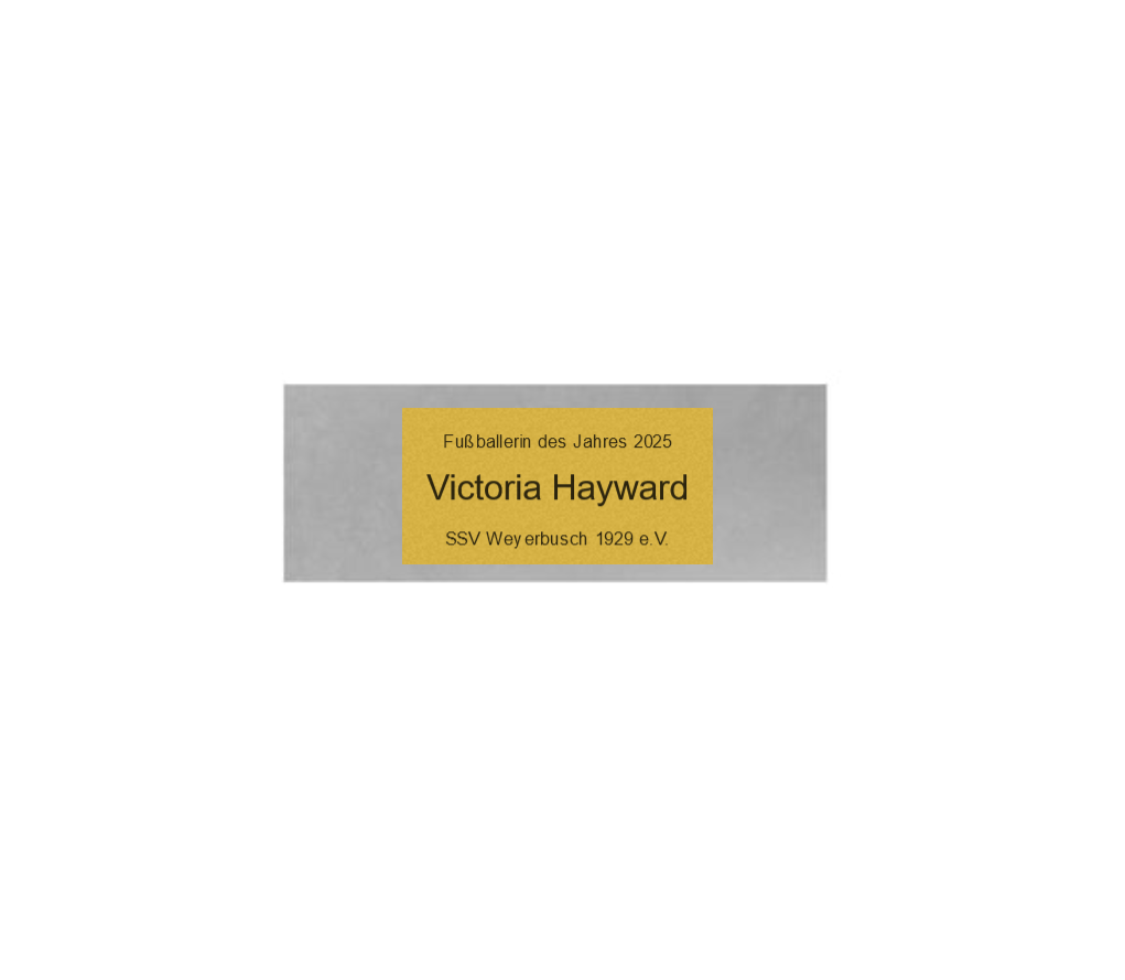 Fußballschuh 8352 - Silber / 17x20 cm