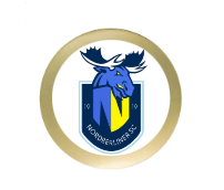 Fussball Trophäe 3963 - Bronze Gold / 27 cm