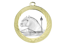 Medaille BS.ME76 Ø 70 mm - Gold / 70 mm