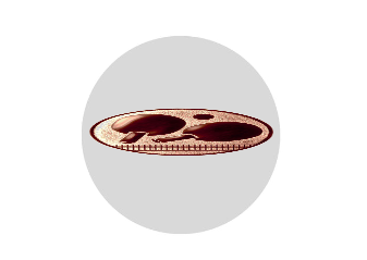 Glas Pokal 8805 blau Schild & Emblem - Silber Blau / 16 cm