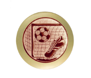 Fussball Trophäe 3963 - Bronze Gold / 23 cm