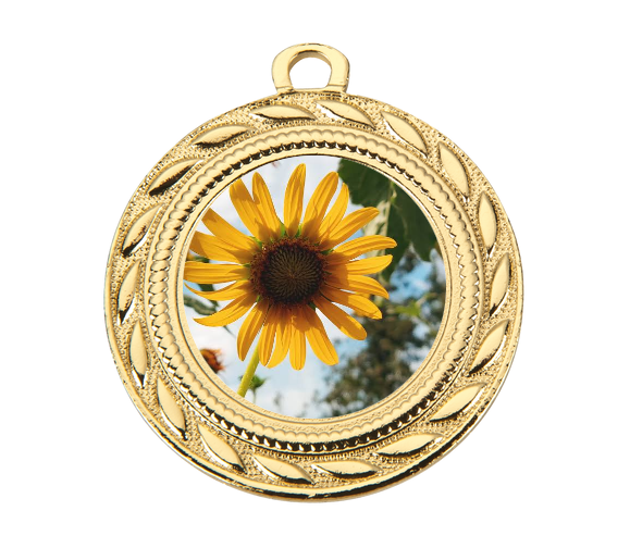 Medaille D109 Ø 40mm - 40mm / Gold