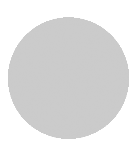 Aluminium-Emblem - 50 mm / Silber/Alu