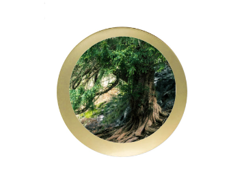 Ehrentafel G55 - Blau / Gold / 200x150 mm