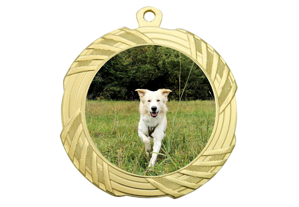 Medaille BS.ME95 Ø 70 mm - Gold / 70 mm