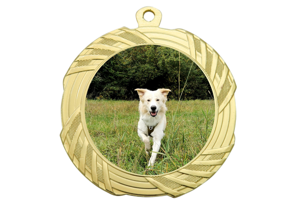 Medaille BS.ME95 Ø 70 mm - Gold / 70 mm