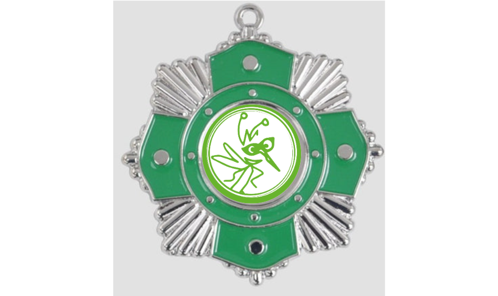 Medaille 9289 Ø 65mm - silber grün / 65 mm