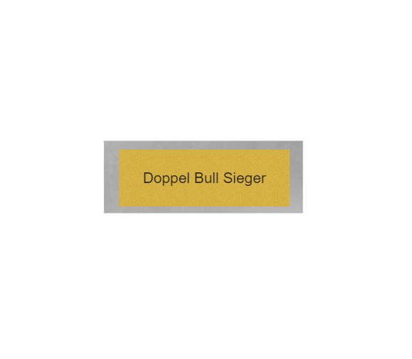Dart Pokal FG261 - 10 cm / Silber Schwarz