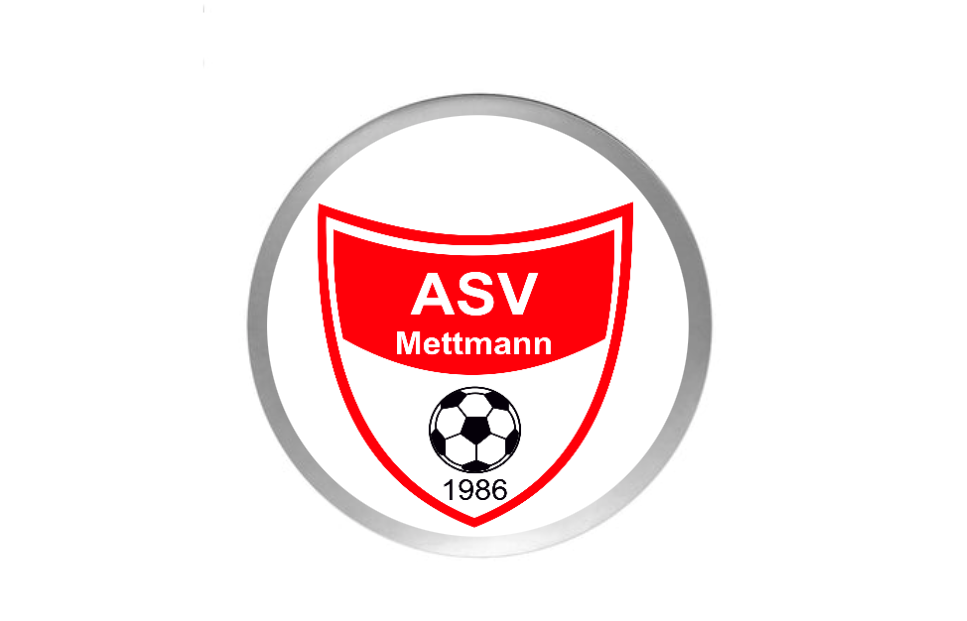 Fußball Pokal  3947x - Silber Gold / 13.5 cm