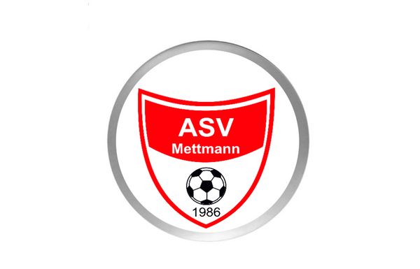 Fußball Pokal  3947x - Silber Gold / 13.5 cm