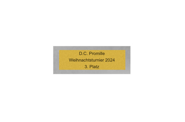 Dart Pokal PFS_009 - 19.5 cm / Silber Mehrfarbig