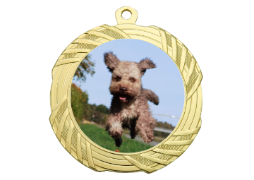 Medaille BS.ME95 Ø 70 mm - Gold / 70 mm