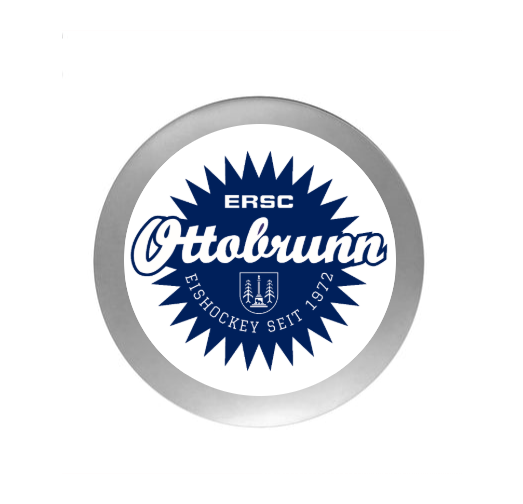 Eishockey Pokal FG 920 - Gold Silber / 12 cm