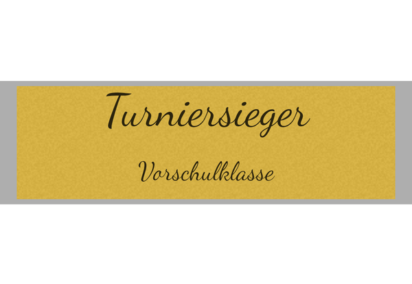Pokal Serie 120 - 33 cm / Silber/Gold