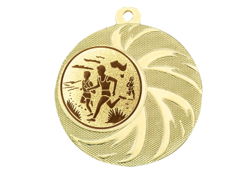 Medaille BS.ME93 Ø 45mm - Gold / 45 mm