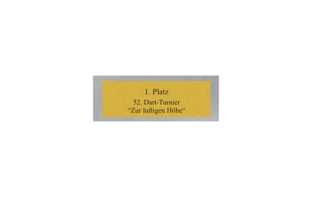 Dart Pokal FG4121 - 14.5 cm / Silber Mehrfarbig