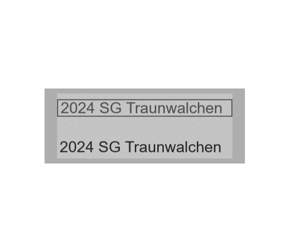 Gravurschild Silber selbstklebend - Silber / 80 x 30 mm