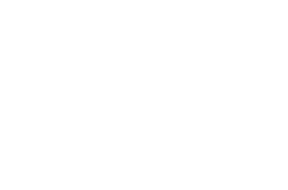 Medaille BS.ME100 Ø 45 mm - Silber / 45 mm