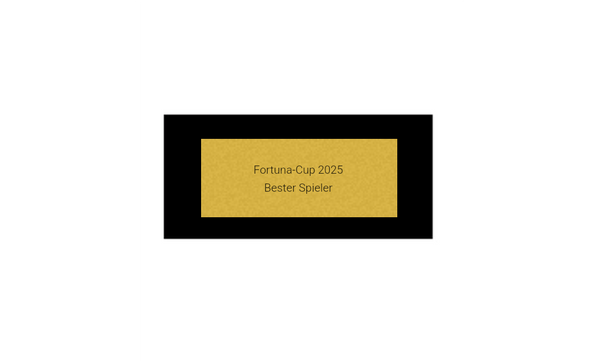 Pokalserie X151 Fußballschuh - 25.5 cm / Silber Gold