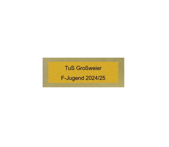 Handball Pokal 39326 SM - Gold/Silber / 13 cm