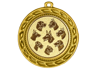 Medaille 9175 Ø 70 mm - Gold / 70mm