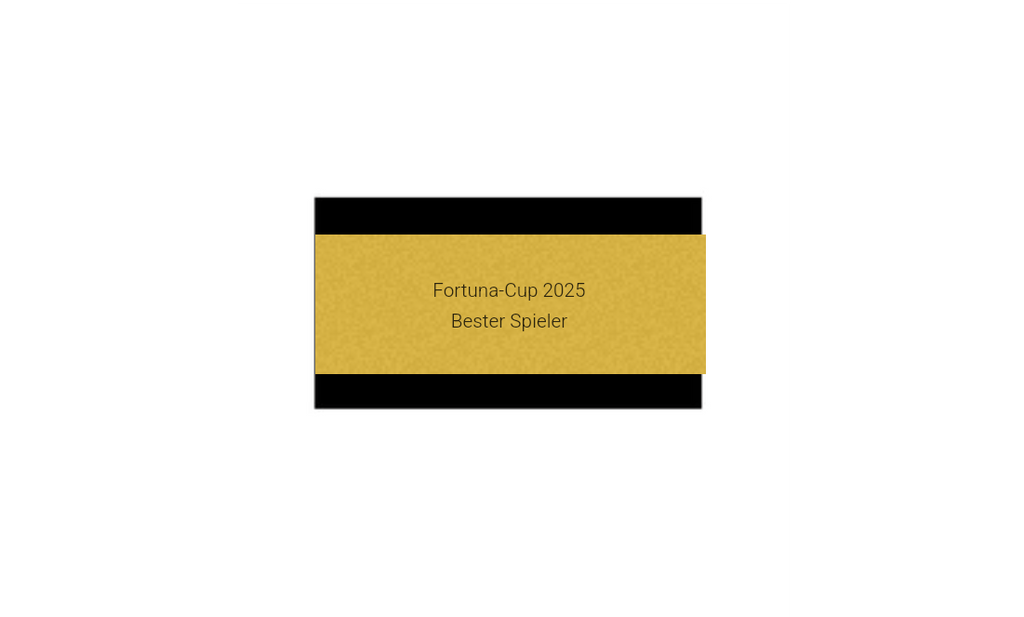 Pokalserie X151 Fußballschuh - 29.5 cm / Silber Gold
