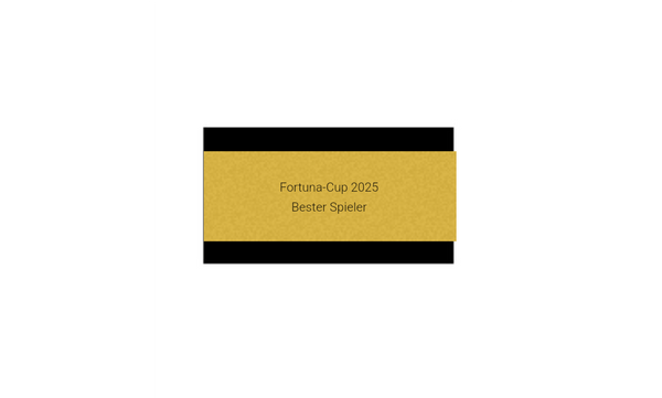 Pokalserie X151 Fußballschuh - 29.5 cm / Silber Gold