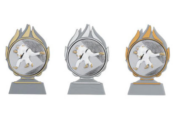 Pokal Judo Q120_FG004 SM - Auswahl Gold / 13.5 cm