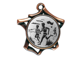 Medaille F3C Ø 75 mm - Bronze / 75 mm
