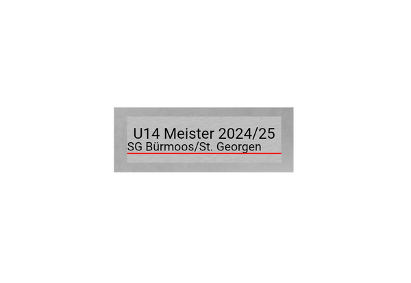 Fußballschuh Pokal FG4031 - 19.5 cm / Silber Gold Grün