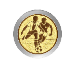 Fußball Pokal  3947x - Silber Gold / 20 cm