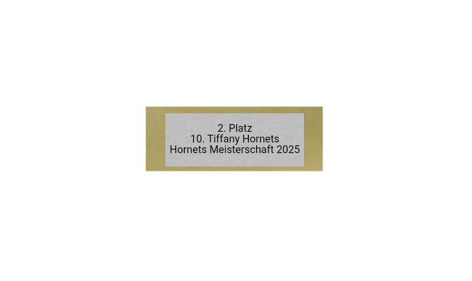 Glas Pokal Dart FG011 - 19 cm / Transparent Schwarz