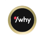 Kart Trophäe FG 303 - Gold Schwarz / 14 cm