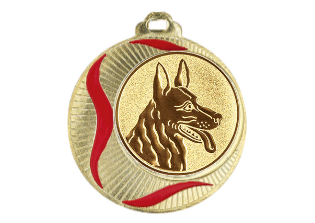 Medaille 085 Ø 70 mm - Gold / 70 mm