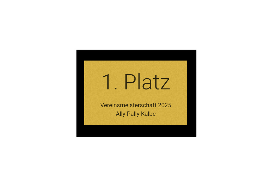 Pokalserie X161 Dart - Silber Mehrfarbig / 29.5 cm