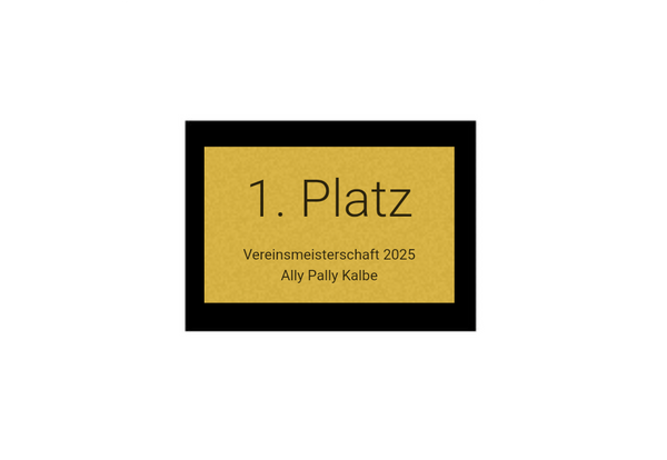 Pokalserie X161 Dart - Silber Mehrfarbig / 29.5 cm