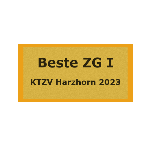 Gravurschild Gold selbstklebend - Gold / 60 x 30 mm