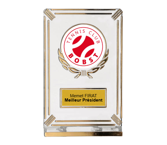 Mini Pokal Acrylaufsteller 5016 - 9x14 cm / Transparent/Gold