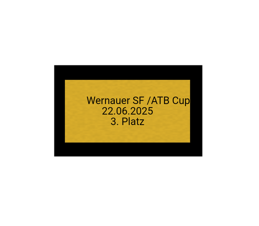 Fußball Pokal 85-3 teilweise begrenzt! - Silber Gold / 32 cm