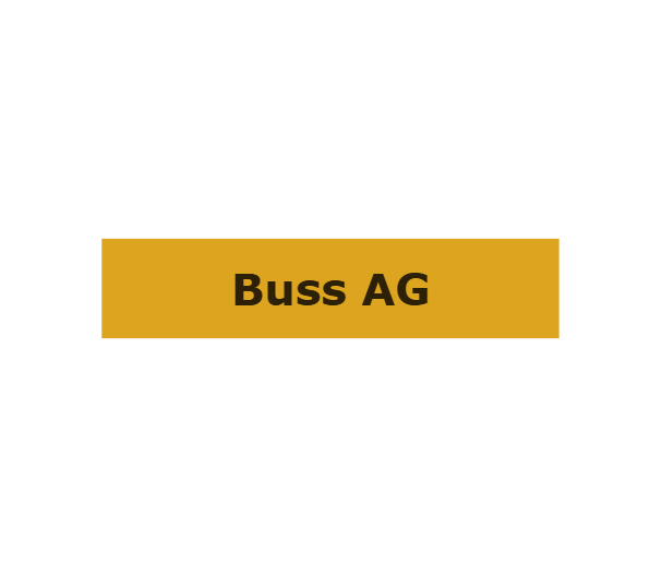 Übergabe Buntbart Schlüssel in Messing - Messing Gold / 25 cm