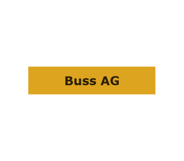 Übergabe Buntbart Schlüssel in Messing - Messing Gold / 25 cm